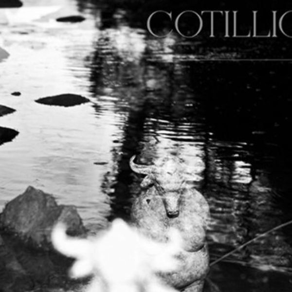 William Patrick Corgan “Cotillions” (Reprise Records, 2019)
